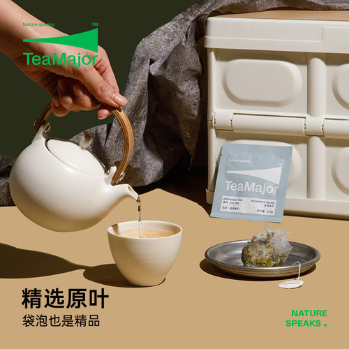 TeaMajor鲜叶说袋泡茶福鼎白牡丹白茶春茶清甜茶包礼盒装10包/盒 - 图1