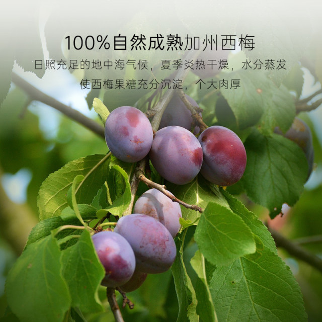 Fractions of prunes imported from California, prune seedless snacks, independent small packages of dried fruits