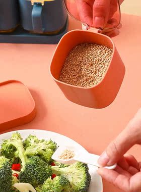 4 In 1 Spices Box Pepper Spice Shaker Kitchen Organizer