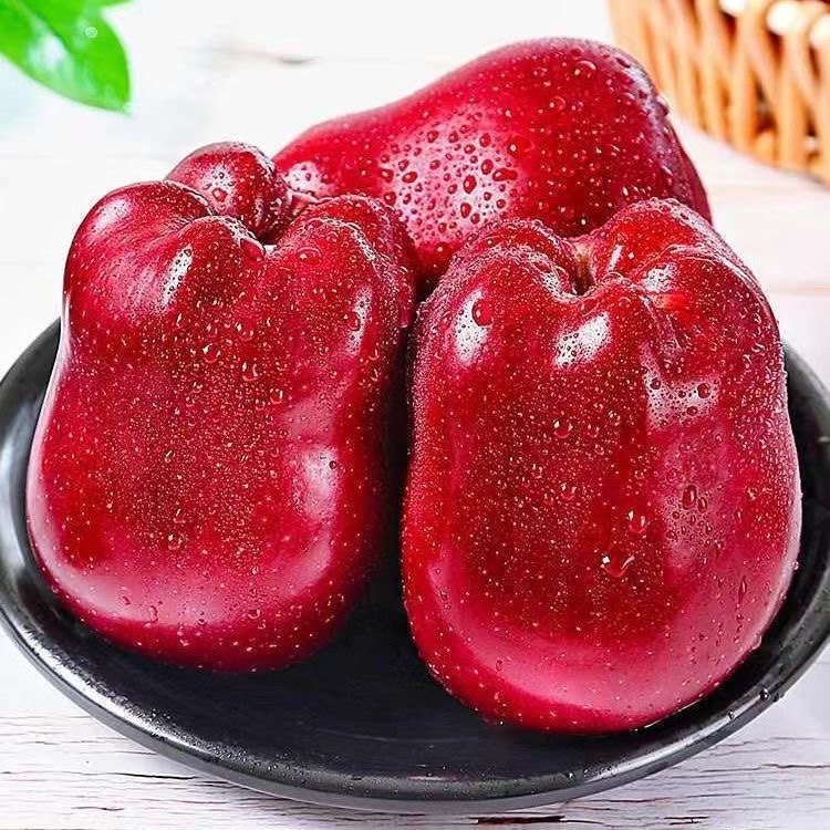 【年货节官方补贴】正宗花牛苹果甘肃天水9斤脆甜粉面糖心水果,淘宝优惠券,粉丝福利购,淘宝优惠卷