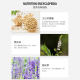 ຖົ່ວເຫຼືອງ isoflavones swiss 60 ແຄບຊູນ