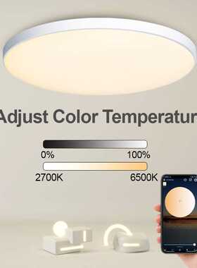 Smart Ceiling lamp RGB Ceiling Light Wifi APP Voice Control