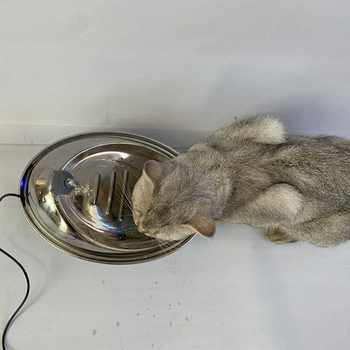 Cat Water Fountain ອັດຕະໂນມັດທີ່ມີການກັ່ນຕອງທົດແທນ 2L