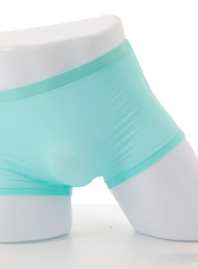 Men's Panties Ice Silk Male Underwear Transparent Men Boxer