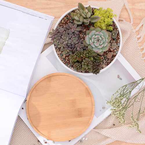 1 Set Minimalist Ceramic Succulent Plant Pot White - 图1