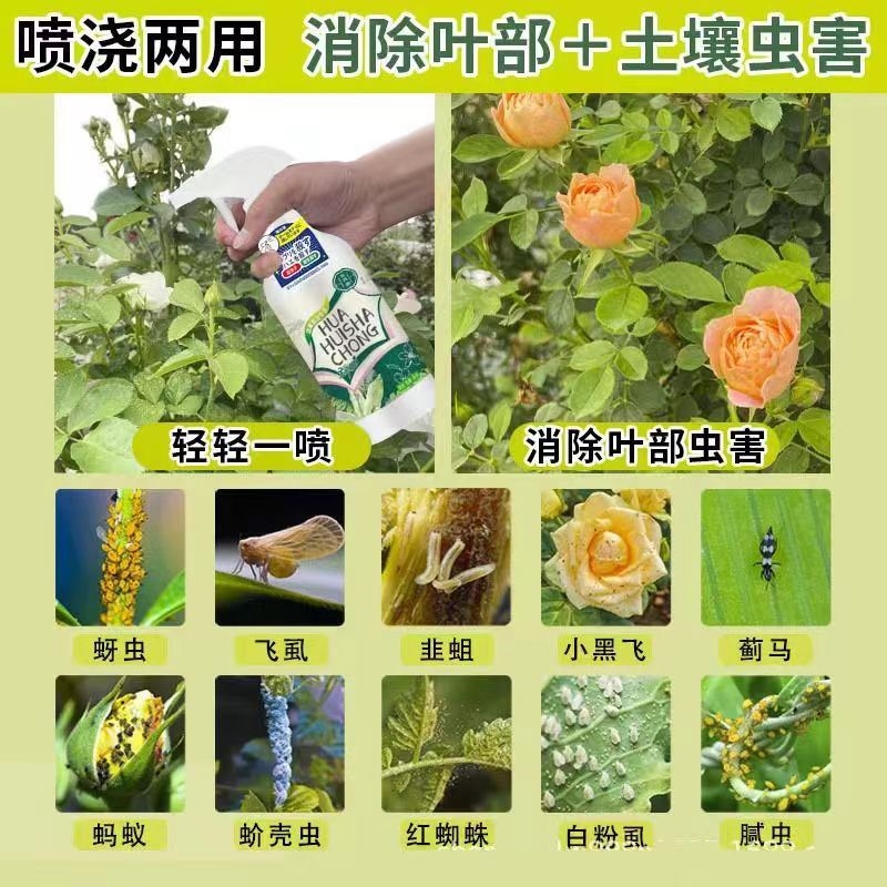 花上有虫子栀子花茉莉花生虫子药多肉长白虫灭花土花卉兰花除虫药