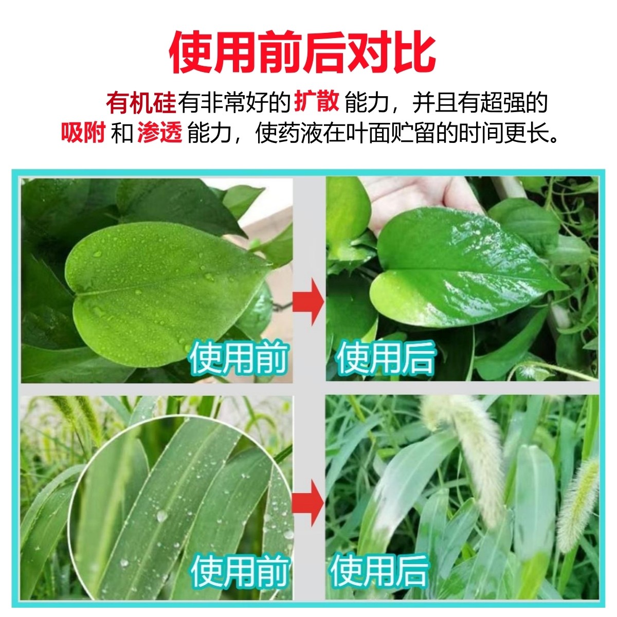 农用有机硅助剂增效剂渗透剂飞防助剂防雨剂大包装农药助剂批发,淘宝优惠券,粉丝福利购,淘宝优惠卷