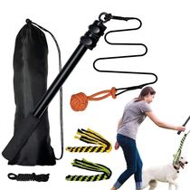 Retractable Dog Interactive Stick Toys Extendable Flärt Pole
