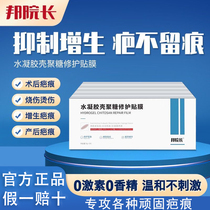 State dean hydrogel chitosan scar repair adhesive film male and female universal scarring post official flagship store