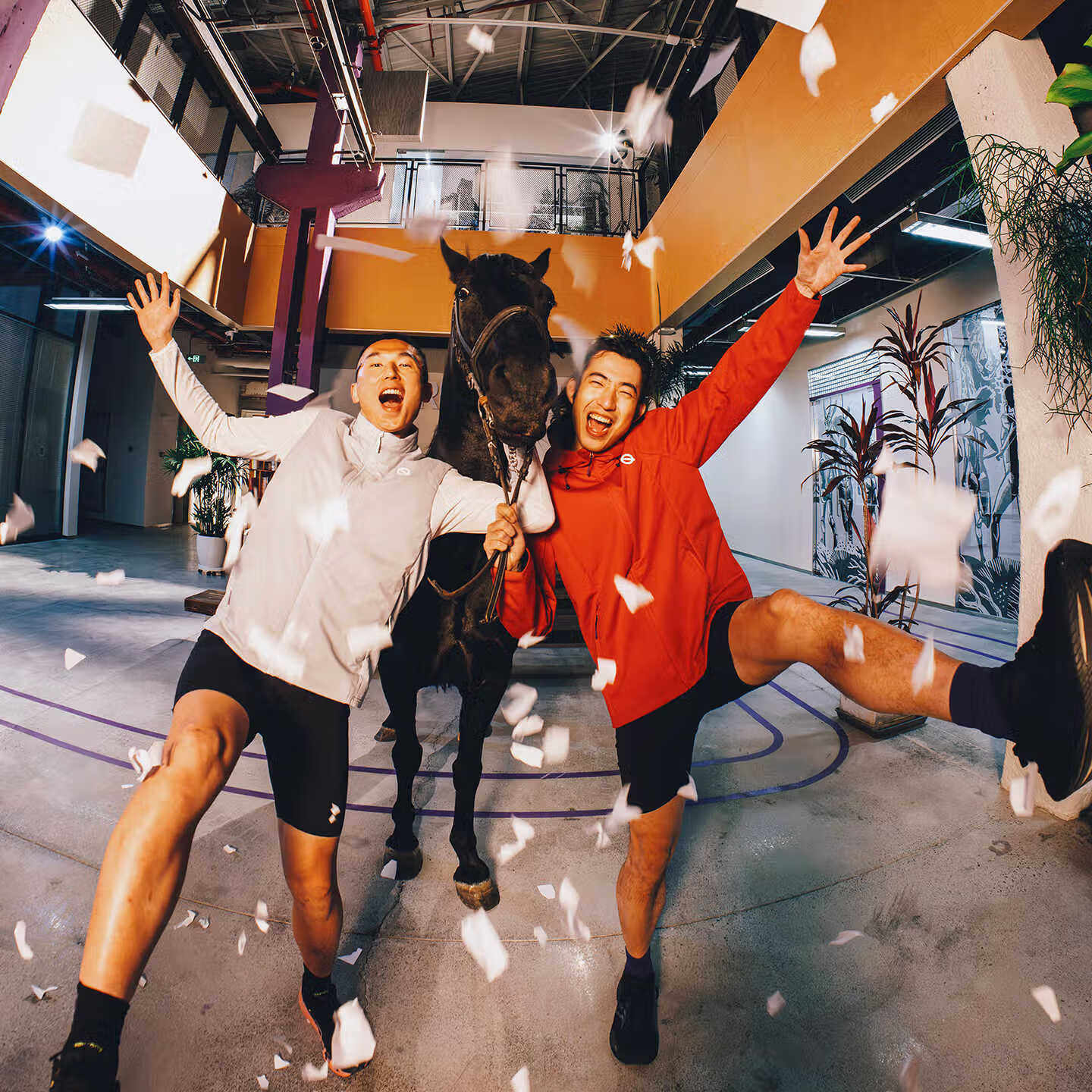 轻功马年印花综训跑步软壳3.0秋冬防风保暖运动休闲跑步服外套,淘宝优惠券,粉丝福利购,淘宝优惠卷