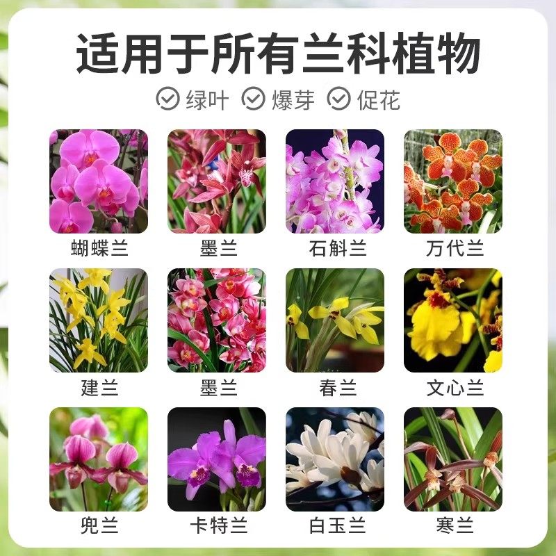 兰花多箭素爆芽素专用营养液蝴蝶兰多剑王兰灵王通用促开花肥料,淘宝优惠券,粉丝福利购,淘宝优惠卷