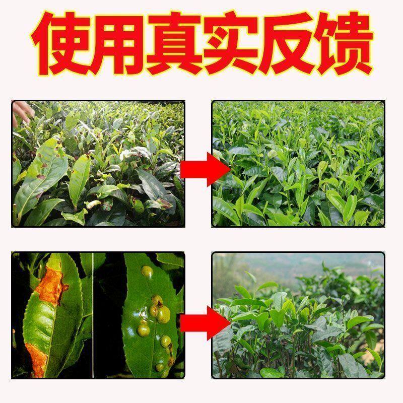 茶叶病全治茶树病专用药黄叶病枯萎病茶饼病芽枯病通用强效杀菌剂,淘宝优惠券,粉丝福利购,淘宝优惠卷