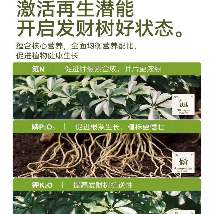 发财树肥料专用肥绿植物家用室内盆栽水培黄枯叶通用营养液水溶肥,淘宝优惠券,粉丝福利购,淘宝优惠卷
