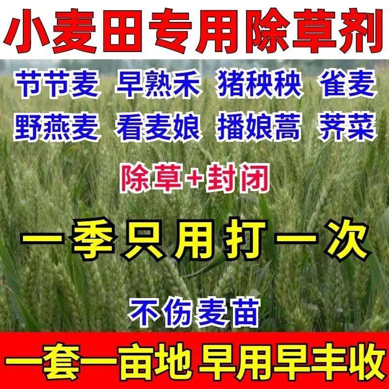 小麦田苗后专用除草剂小麦除草专用剂组合套装死草烂根不伤小麦药,淘宝优惠券,粉丝福利购,淘宝优惠卷