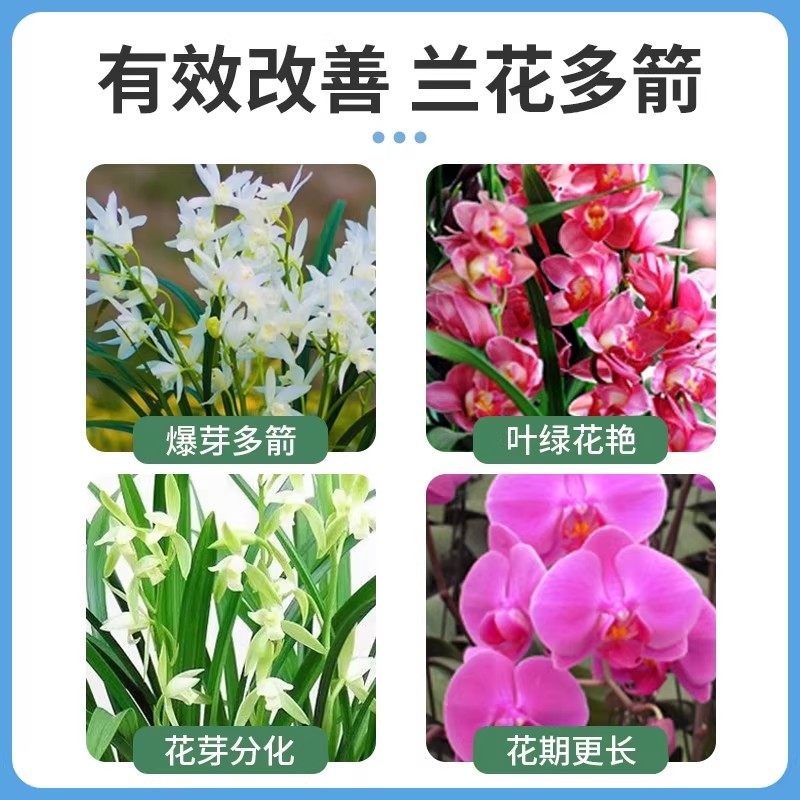 兰花多箭素爆芽素专用营养液蝴蝶兰多剑王兰灵王通用促开花肥料,淘宝优惠券,粉丝福利购,淘宝优惠卷