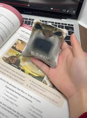 我是爷们按压语音挂件搞