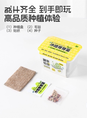 植物生长观察盒种植箱记