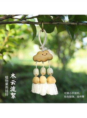 天然手工果壳挂铃种子音