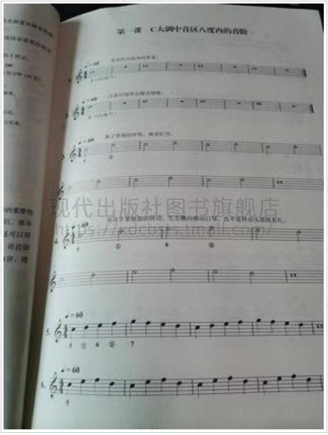 半音阶口琴基础练习曲 基础教程教材 音乐考级参考新手口琴快速入门教学口琴孔位和吹吸演奏五线谱基础知识乐谱乐集书籍XD