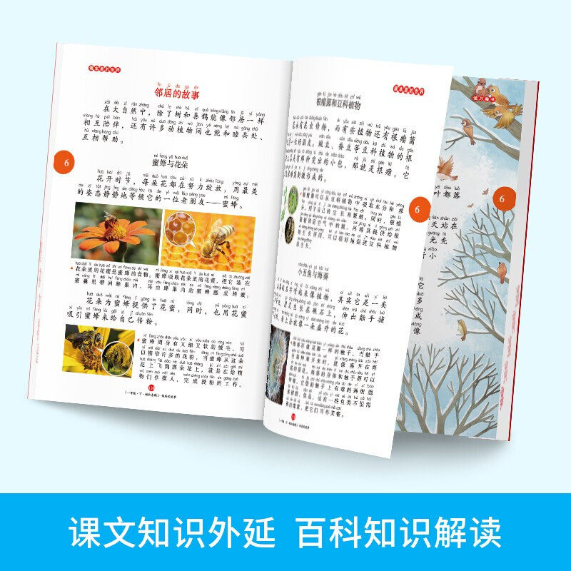 【央视网】2026新版年级阅读第6版 一二三四五六年级下 小学生阅读理解同步课本课外拓展语文人教版年纪阅读学习书SS,淘宝优惠券,粉丝福利购,淘宝优惠卷