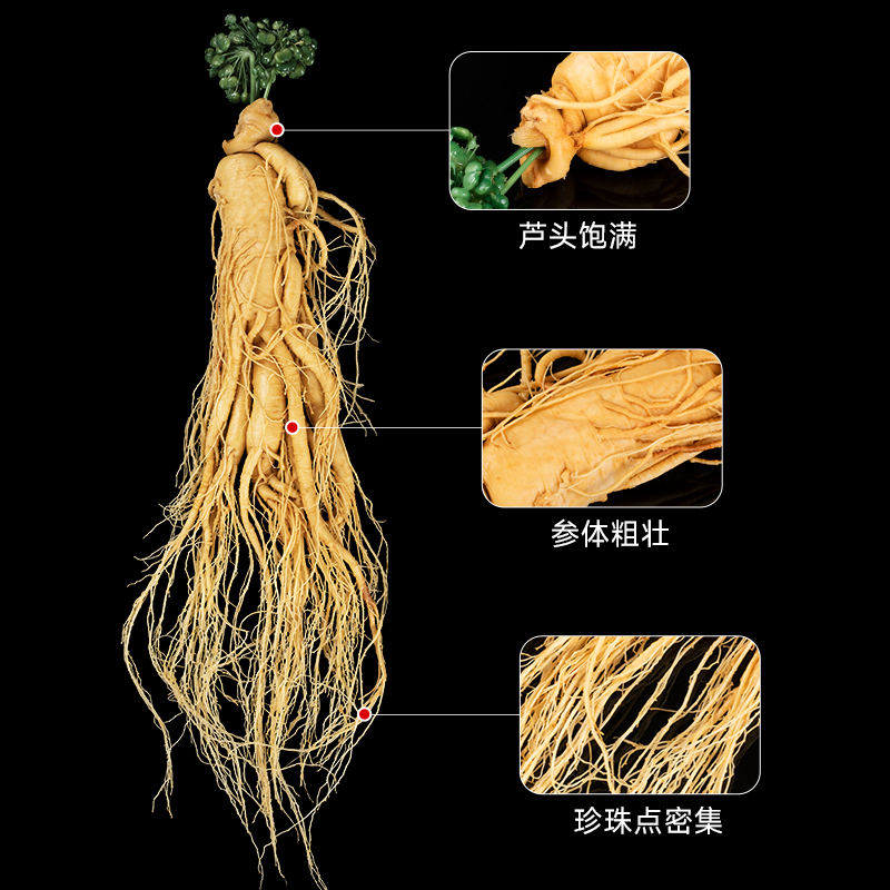 泡酒药材专用男人参十全套装泡酒材料肾配方大药酒补鹿鞭泡酒料包 - 图1