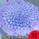 Packed and shipped, creative finished product, rich bouquet, handmade DIY material package, birthday gift for boyfriend, girlfriend, mother