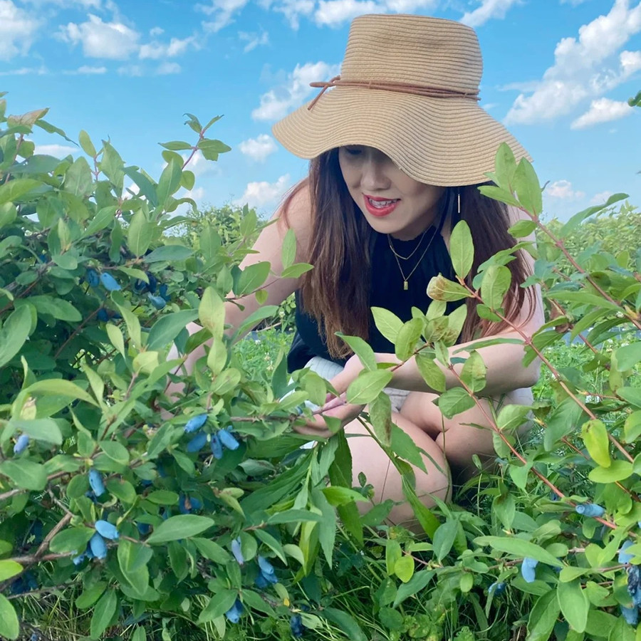 蓝靛果羊奶子山茄子苗葡萄树苖蓝莓树苗南北方阳台水果种植盆栽,淘宝优惠券,粉丝福利购,淘宝优惠卷