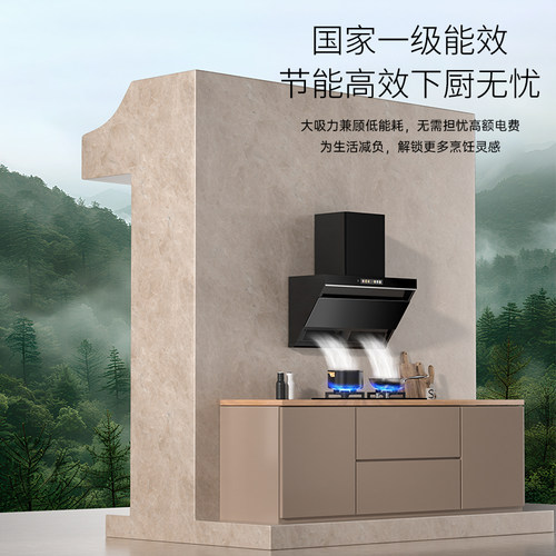 好太太抽油烟机厨房家用大吸力顶侧双吸变频侧吸油烟机燃气灶套装 - 图3