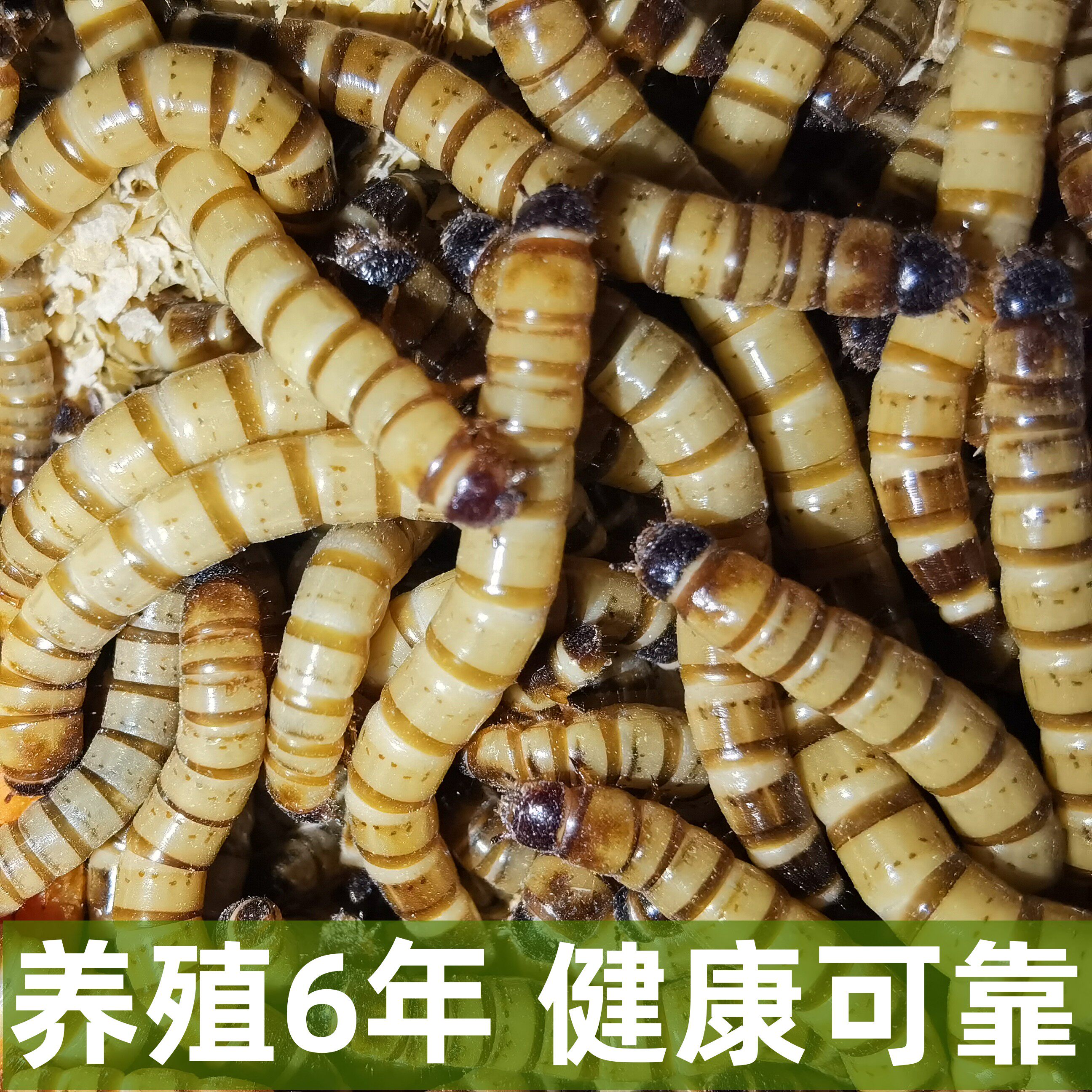 图4