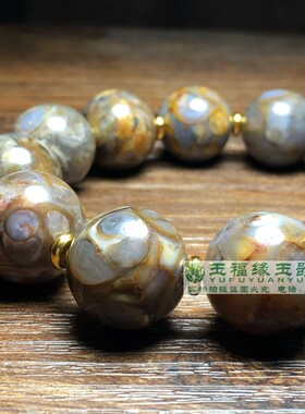 西藏海螺化石老矿法螺玉石天珠 手链手串项链天眼原石吊坠手串