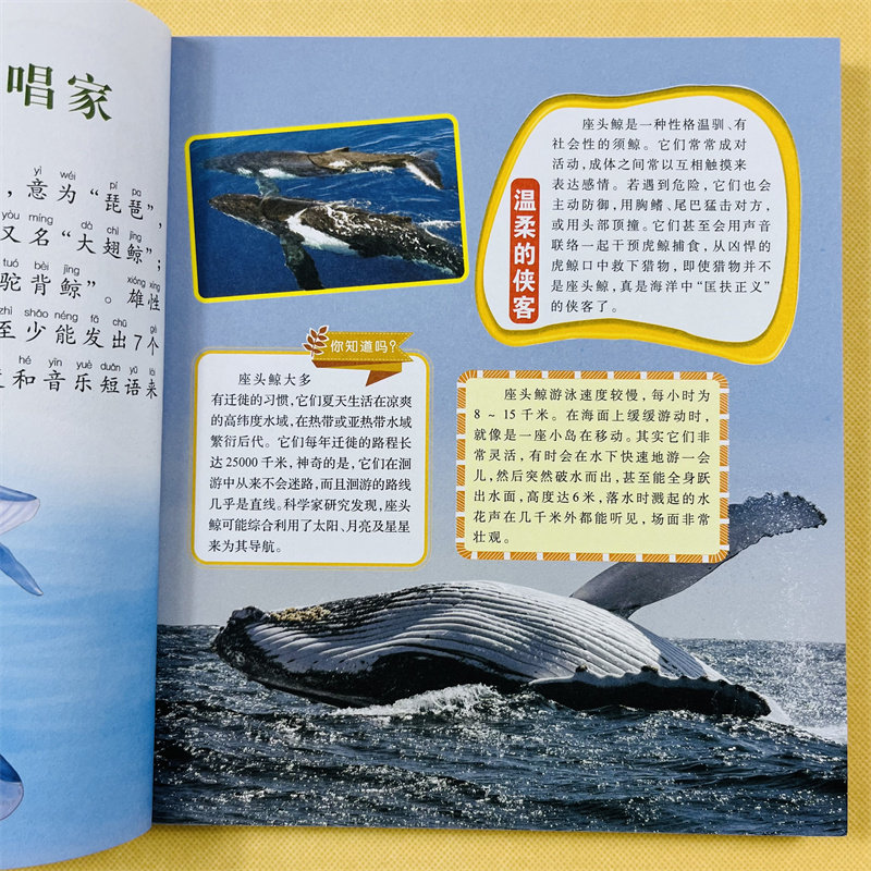儿童海洋百科全书海洋生物百科全书海底世界绘本海洋世界书籍海洋书海底图片认知幼儿关于海里的动物的书海洋8小学生课外书