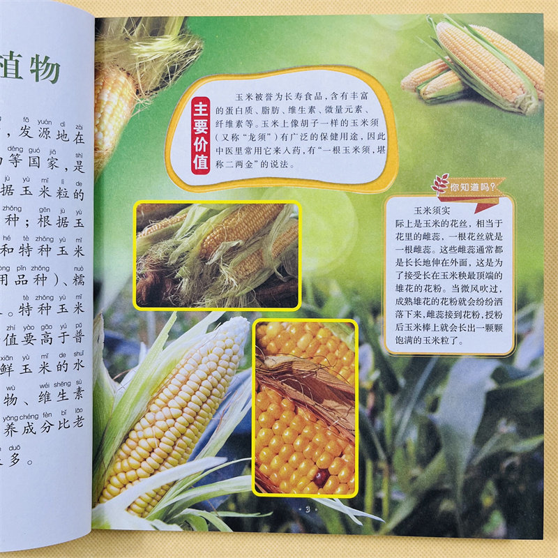 动物世界植物世界百科全书幼儿动物绘本宝宝早教认知动物大全大图大字认识动物图片儿童海洋百科全书海洋生物百科全书海底世界绘本