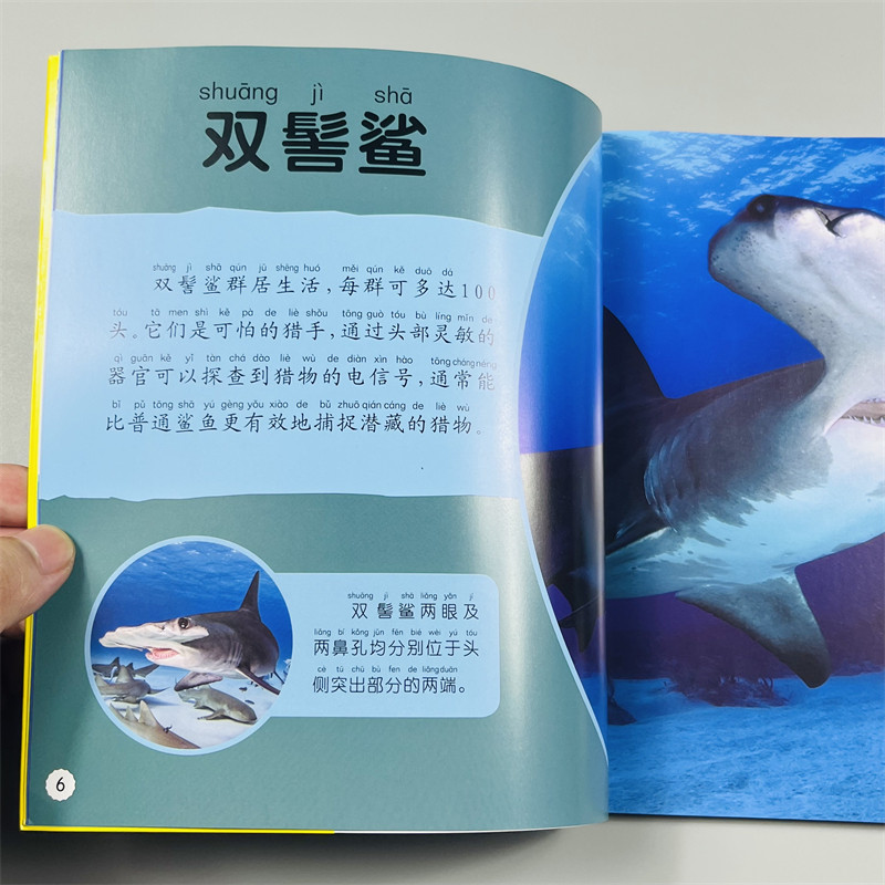 海洋野生动物百科2册注音一二三年级小学生语文课外阅读书籍6-7-8-9岁儿童课外读物带拼音儿童海洋科普知识故事书野生动物彩图版