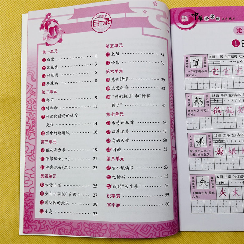 五年级上册语文同步字帖人教版小学生5年级生字组词语课文段落描红写字练字正楷书法练习练字帖部编版上学期语文楷书硬笔描红钢笔