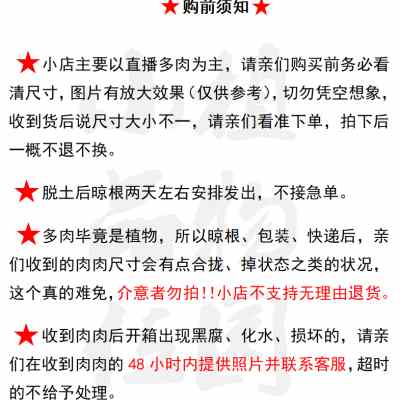 朱 O151-O170小品位植物园云南多肉糖心冰魄麦秆黛玉玉玲珑红霞-图0