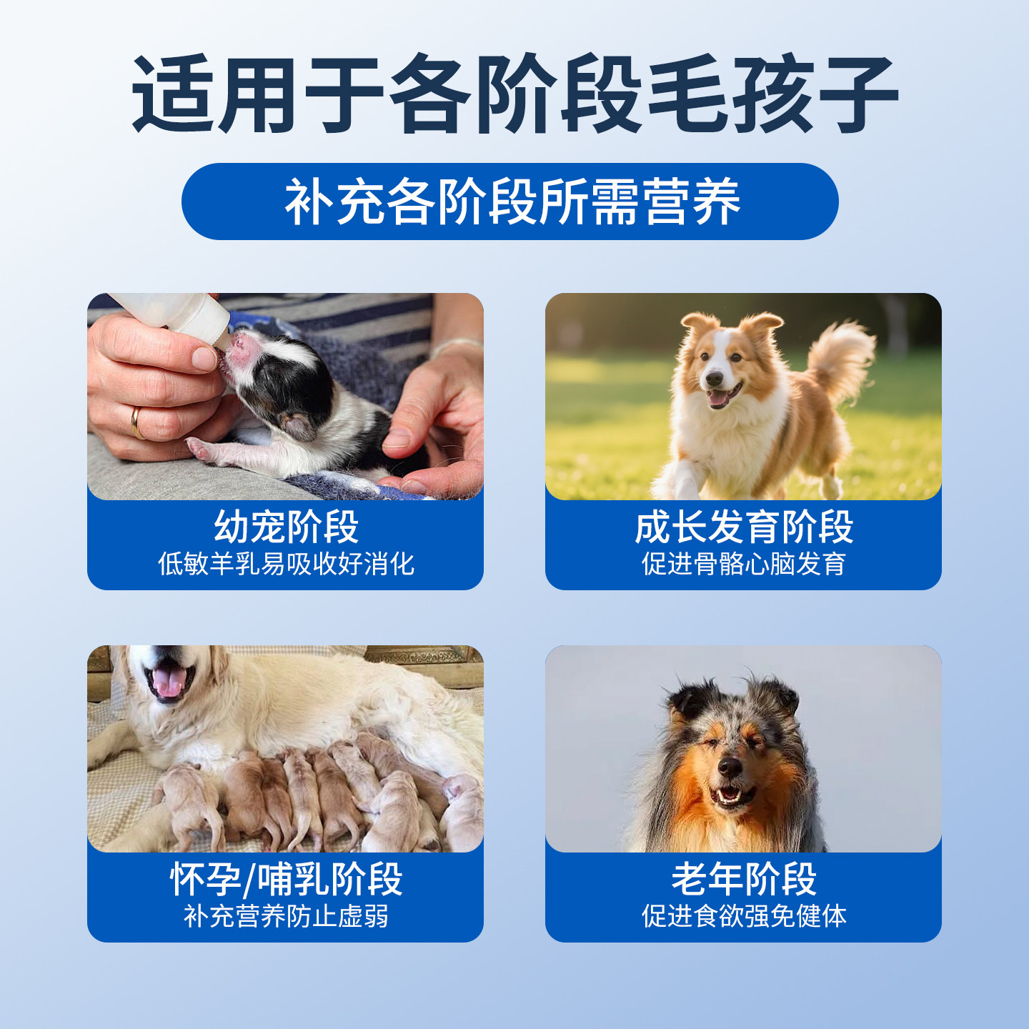 派迪诺猫咪狗狗羊奶粉宠物专用幼猫幼犬成猫成犬产后哺乳期营养品,淘宝优惠券,粉丝福利购,淘宝优惠卷