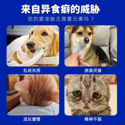 派迪诺微量元素狗狗猫咪异食癖防狗吃屎犬用钙片宠物补充营养幼犬 - 图1