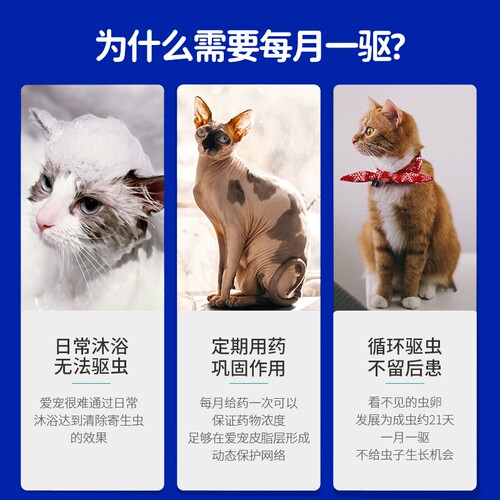 派迪诺猫咪狗狗驱虫药体内外一体宠物打虫药猫用犬用驱虫体外滴剂 - 图0