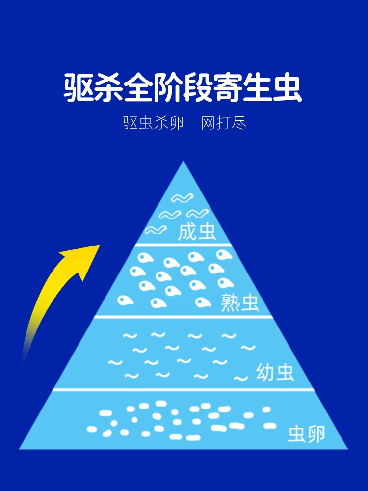 派迪诺猫咪狗狗驱虫药体内外一体宠物打虫药猫用犬用驱虫体外滴剂 - 图2