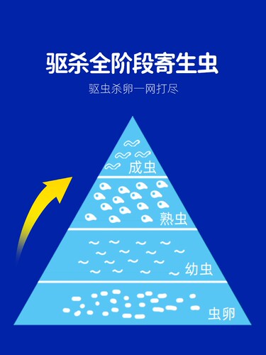 派迪诺猫咪狗狗驱虫药体内外一体宠物打虫药猫用犬用驱虫体外滴剂 - 图2