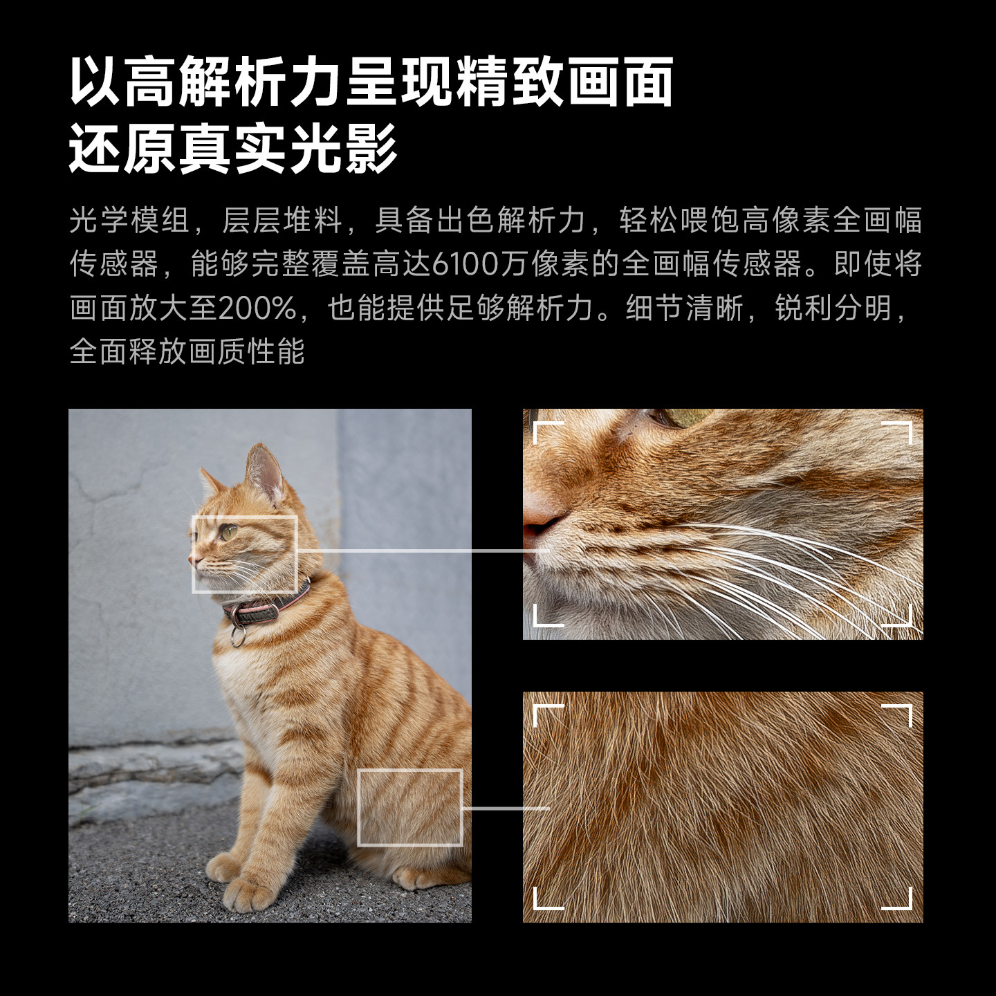 星曜24mm F1.8大光圈自动对焦微单镜头适用索尼A7M4 A7C尼康Z5 Z8,淘宝优惠券,粉丝福利购,淘宝优惠卷