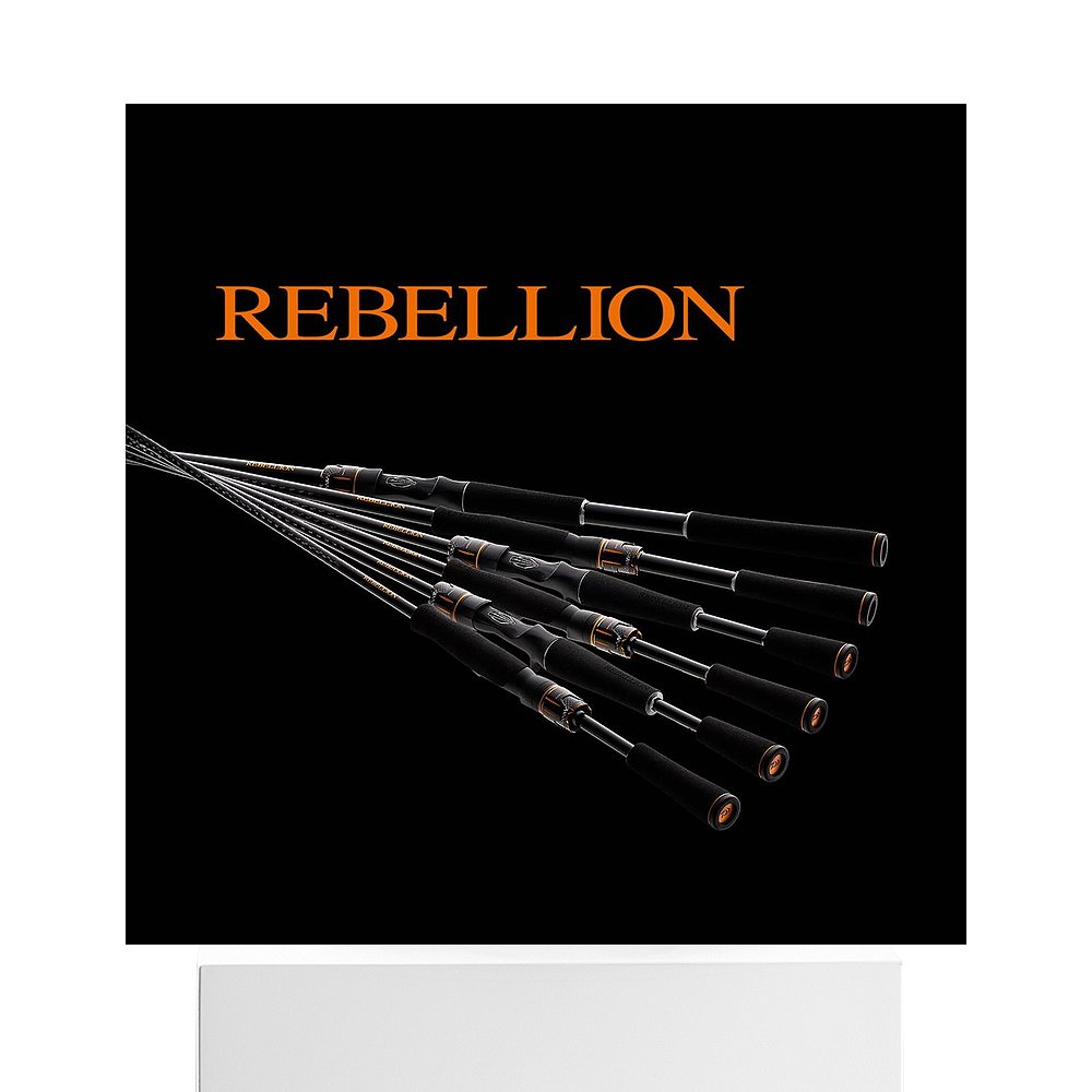 日本直邮Daiwa Rod Rebellion 631MRB 鱼饵铸造模型 - 图3