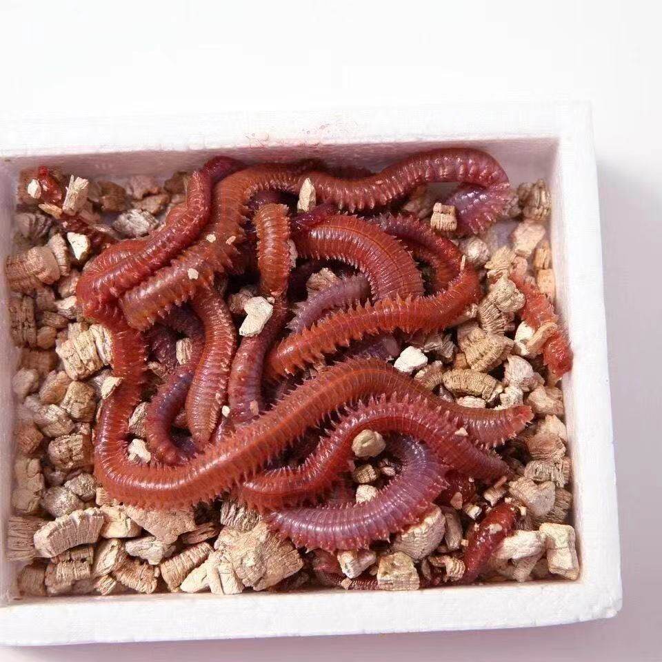 图5