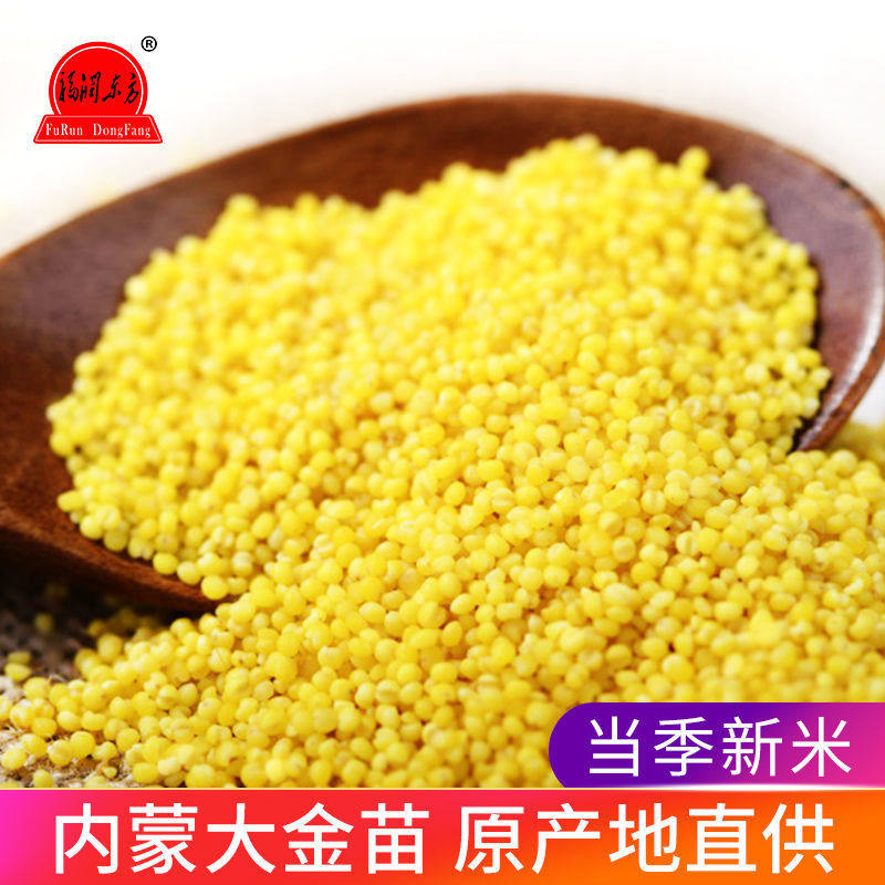 福润东方黄小米5斤内蒙农家杂粮 画迈食品小米