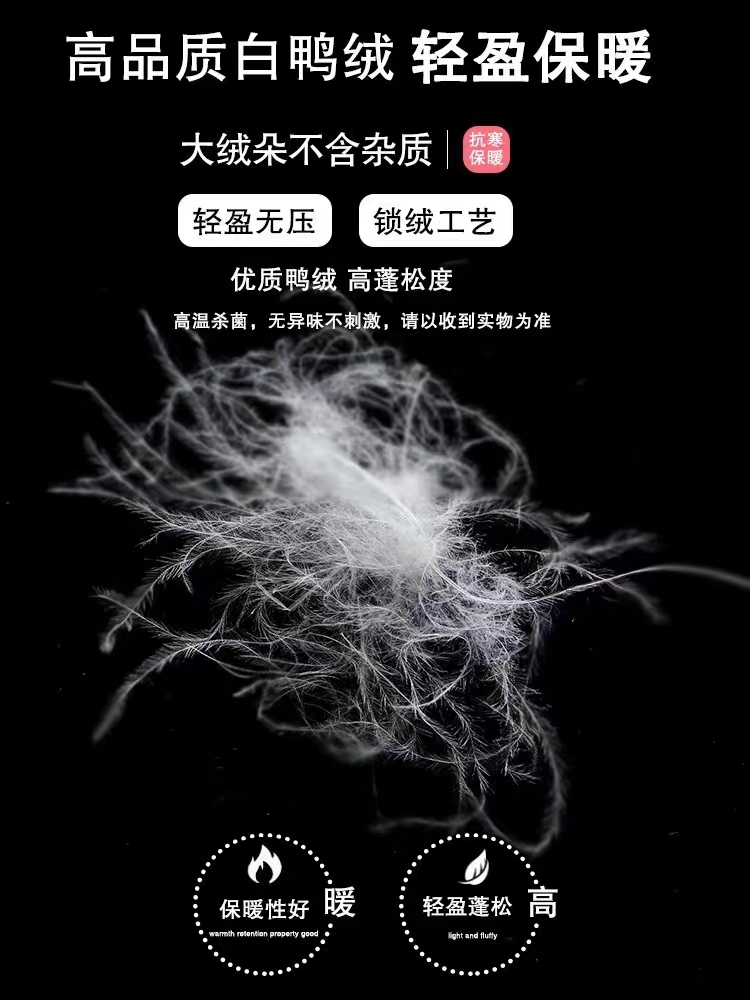 2023新羽绒服马甲女立领短款小个子设计感时尚百搭宽松马夹外套潮_浙江高奢羽绒服工厂_女装/女士精品-第5张图片-提都小院