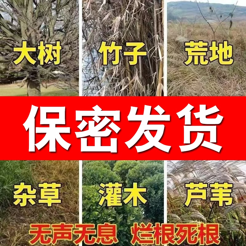 大树烂根药大树一滴死除树灭树烂根粉连根烂强力除竹大树一针倒药-图0