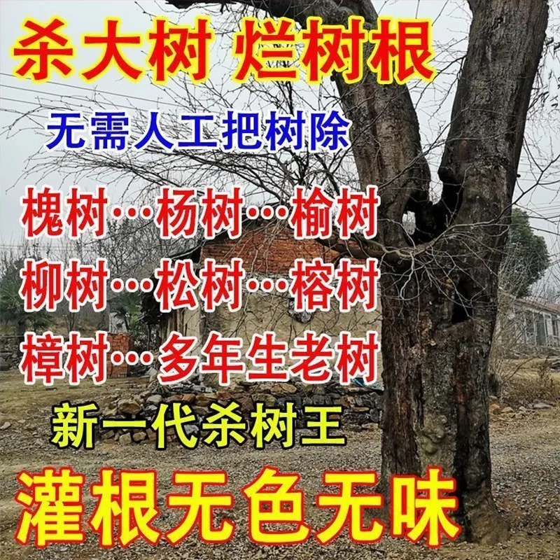 大树烂根药大树一滴死除树灭树烂根粉连根烂强力除竹大树一针倒药-图2