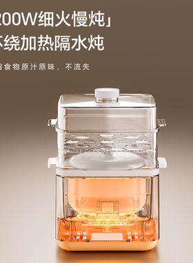 创维小电炖锅隔水炖家用BB煲煮粥宝宝辅食锅陶瓷全自动燕窝炖盅