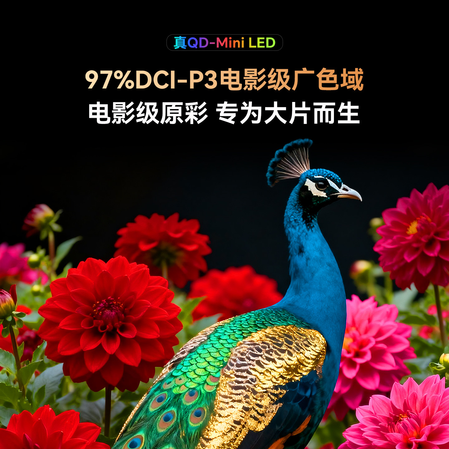 Skyworth TV 65A4H 65-inch double-layer low-reflection QD-Mini LED 4K ultra-high definition flat-panel TV
