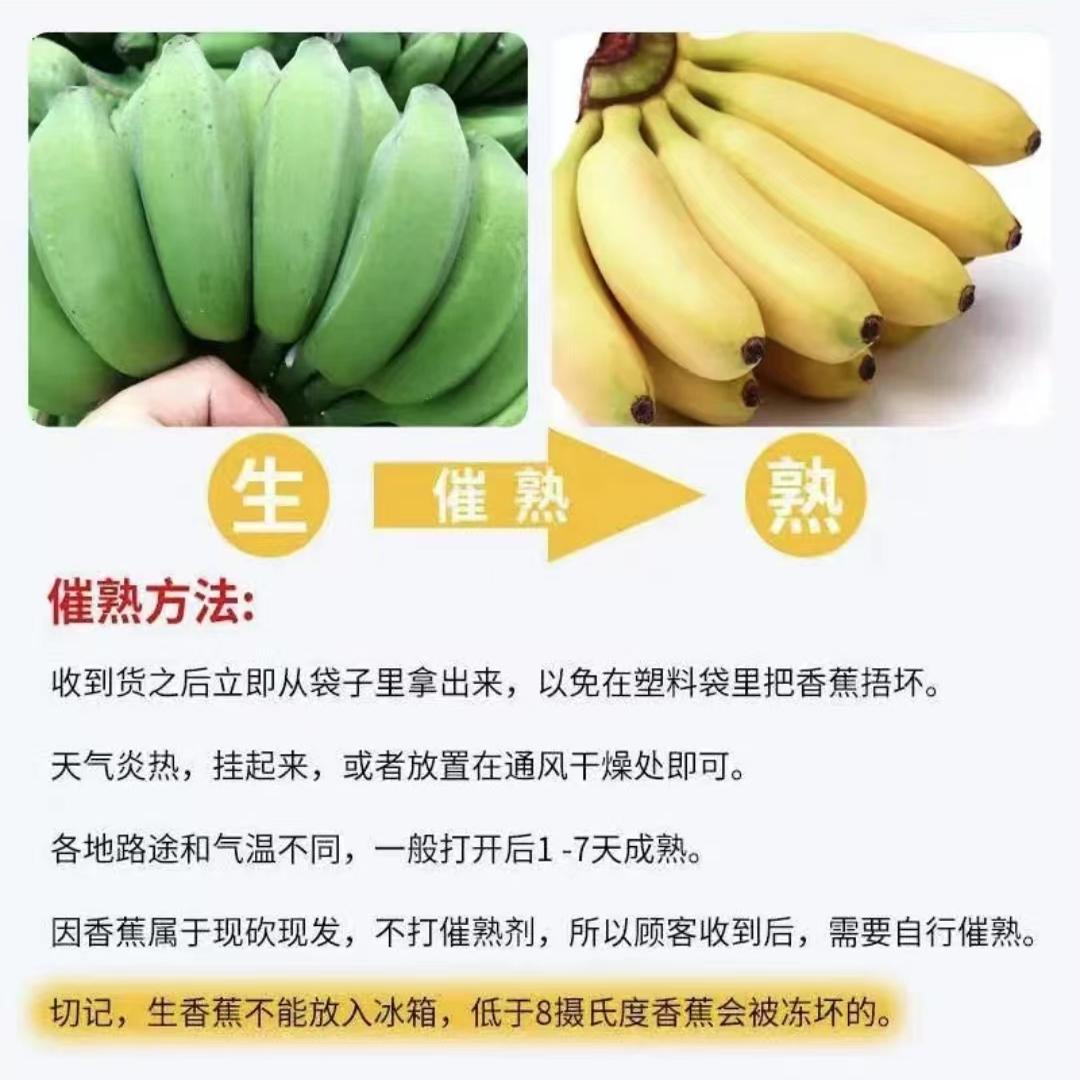 正宗海南苹果蕉新鲜皇帝米蕉粉糯香甜薄香蕉芭蕉高山苹果蕉非顺丰